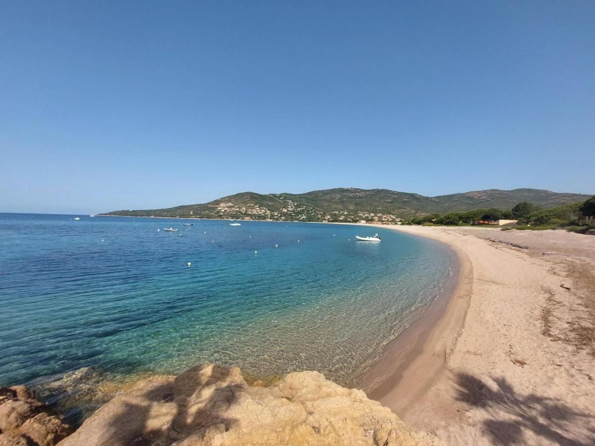 Nouvel Location D'Un Bel Appart T2 Climatise Et Meuble Au Rdch Avec Piscine Dans Residence Les Melody Santa-Maria-Poggio  외부 사진