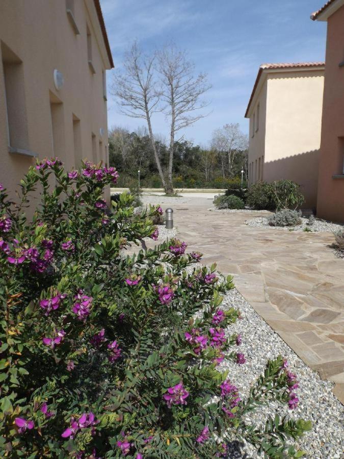 Nouvel Location D'Un Bel Appart T2 Climatise Et Meuble Au Rdch Avec Piscine Dans Residence Les Melody Santa-Maria-Poggio  외부 사진